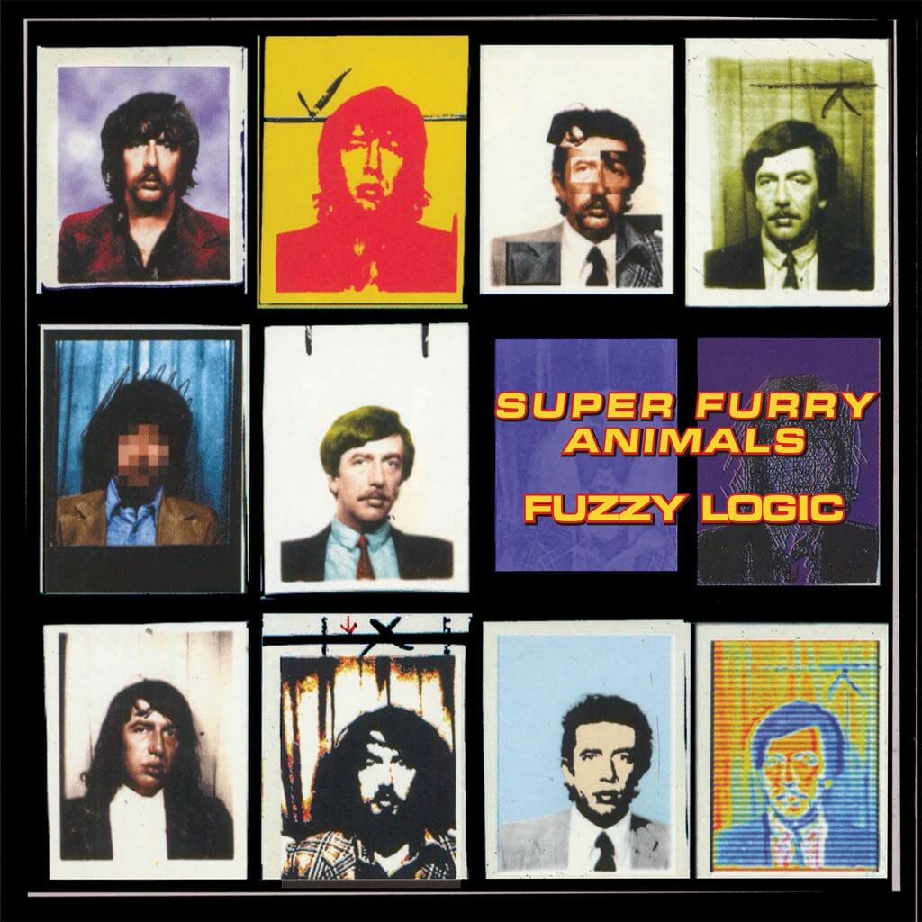 Fuzzy Logic by Super Furry Animals