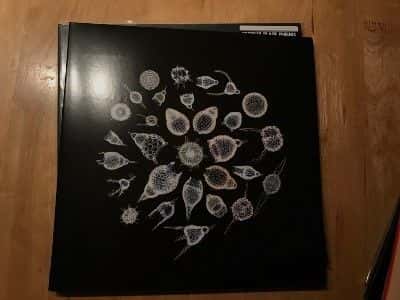 a box with a picture of flowers on it