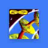 Ozric Tentacles