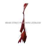 Lifeblood by Manic Street Preachers