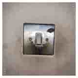 Pando by Das Koolies