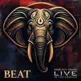 Neon Heat Disease - Live in Los Angeles by Beat