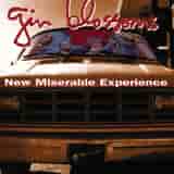 New Miserable Experience by Gin Blossoms