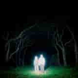 Losey by Gnoomes