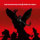 Terrifying Angels by Pure Reason Revolution
