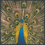 Expecting To Fly by The Bluetones