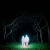 Losey by Gnoomes