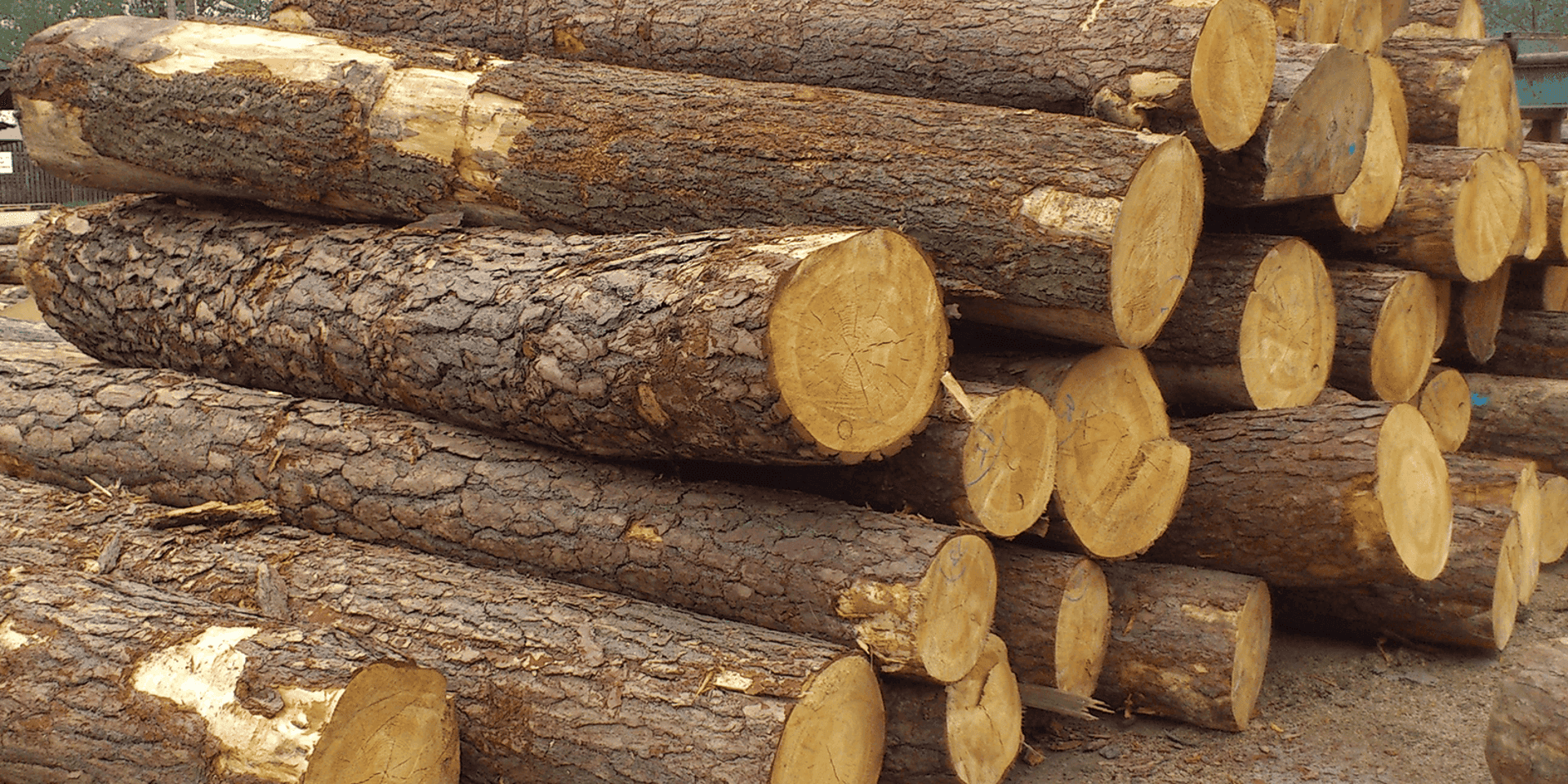 High Availability Central Logging in AWS