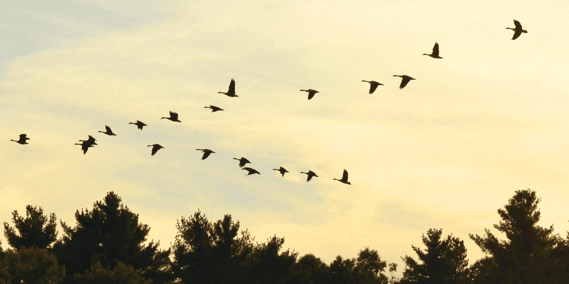 Migration of Server & Swap Space