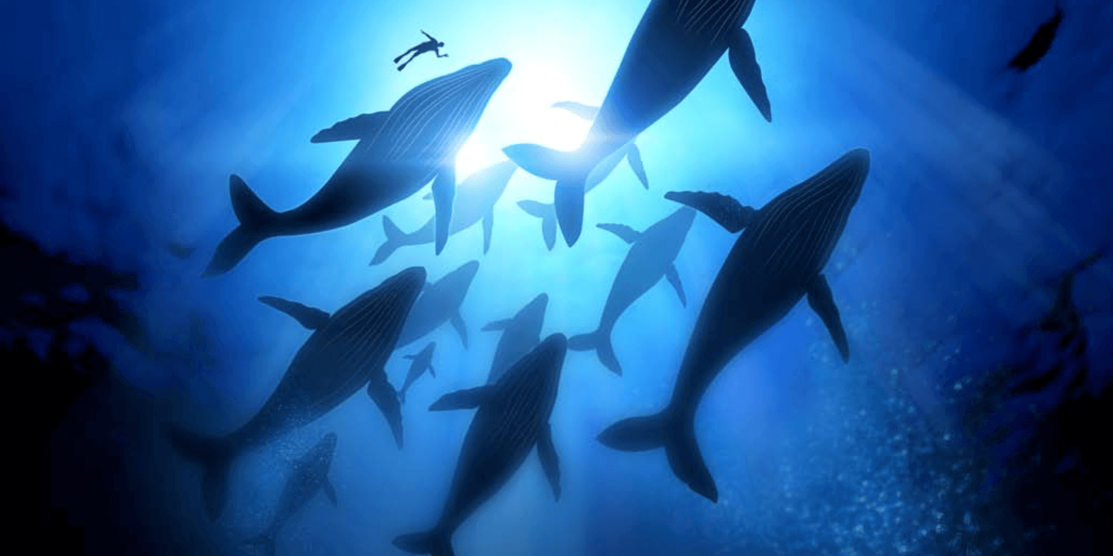 Monitoring Docker Released