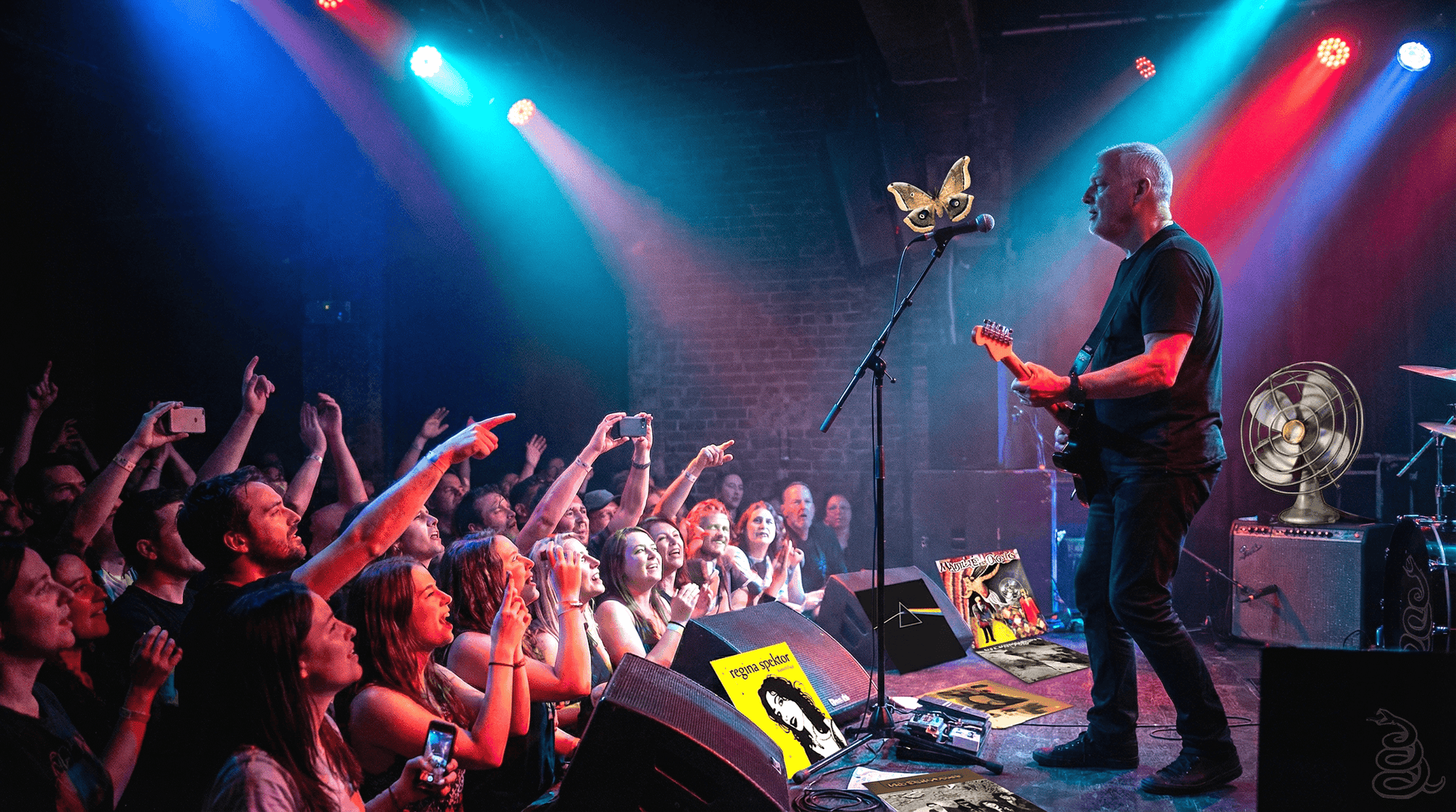 A Musical Journey: From Suedes Glam to Pink Floyds Cosmic Echoes