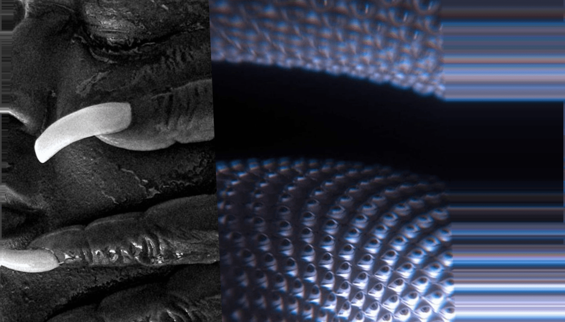 The Stranglers Rock My Week: Punk Legends Infuse Daily Life with Gritty Rhythms