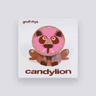 Gruff Rhys