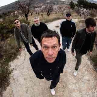 Shed Seven