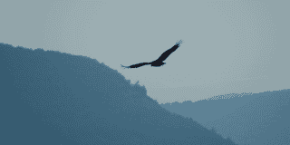 Falco by sysdig