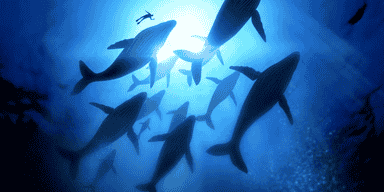 Monitoring Docker Released