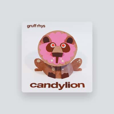 Gruff Rhys