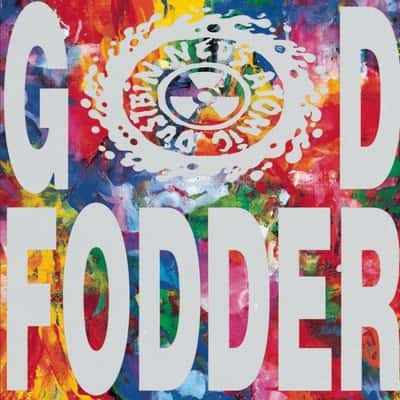 🎸 God Fodder by Ned's Atomic Dustbin: A Quintessential 90s Alternative Rock Gem