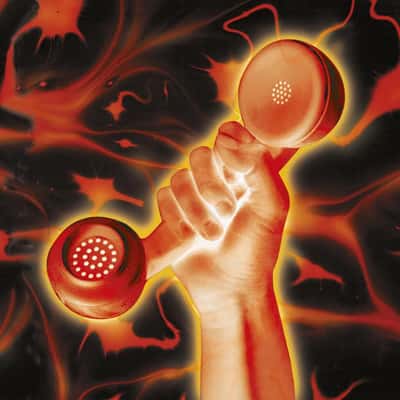 🌍 Dive Into Secret World Live by Peter Gabriel