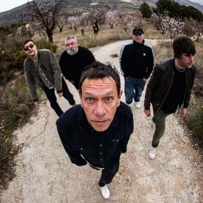 Shed Seven