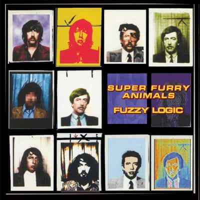 Fuzzy Logic by Super Furry Animals