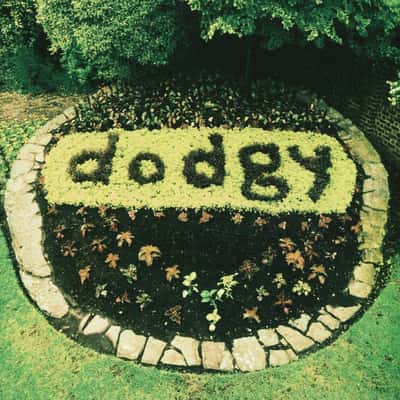 Ace A’s + Killer B’s by Dodgy