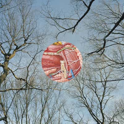 Glean by They Might Be Giants