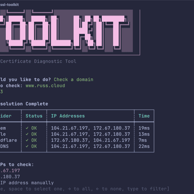 Entering some information and DNS lookups