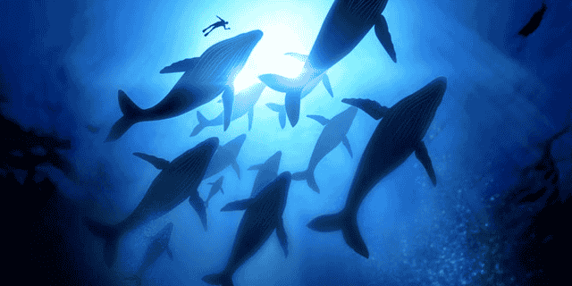 Monitoring Docker Released