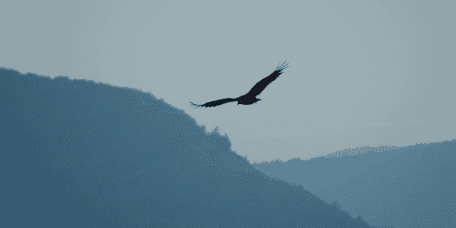 Falco by sysdig