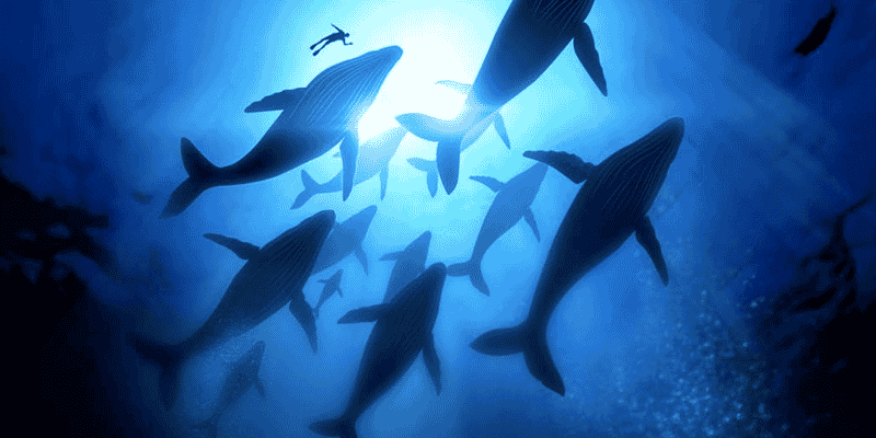 Monitoring Docker Released