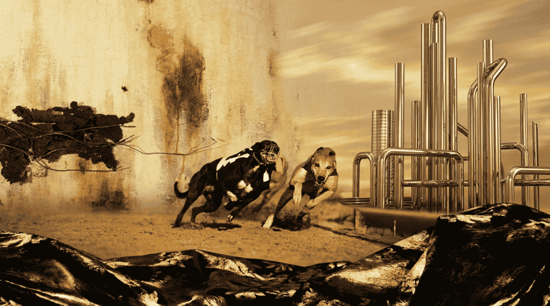 Exploring Musical Diversity from Stereolab to A Tribe Called Quest