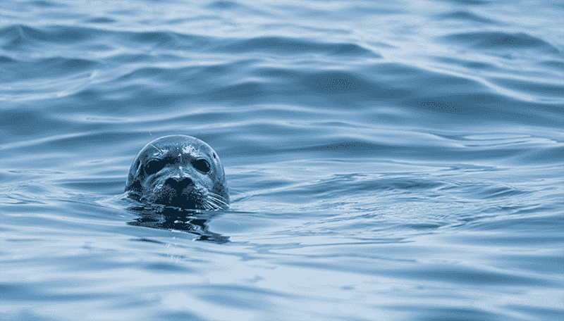 Running Podman on macOS