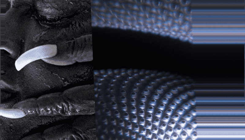 The Stranglers Rock My Week: Punk Legends Infuse Daily Life with Gritty Rhythms