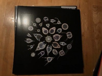 a box with a picture of flowers on it